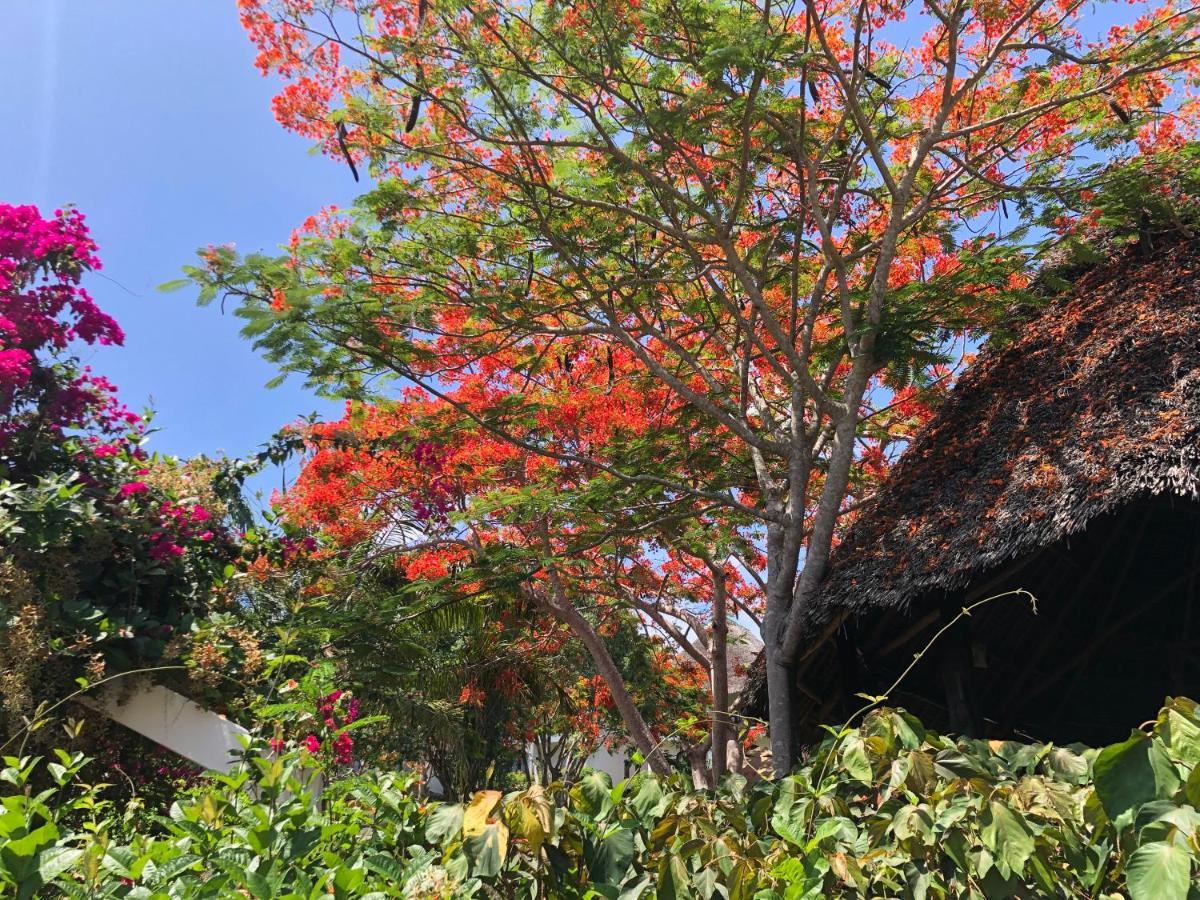 Bluebay Beach Resort & Spa Kiwengwa  Esterno foto
