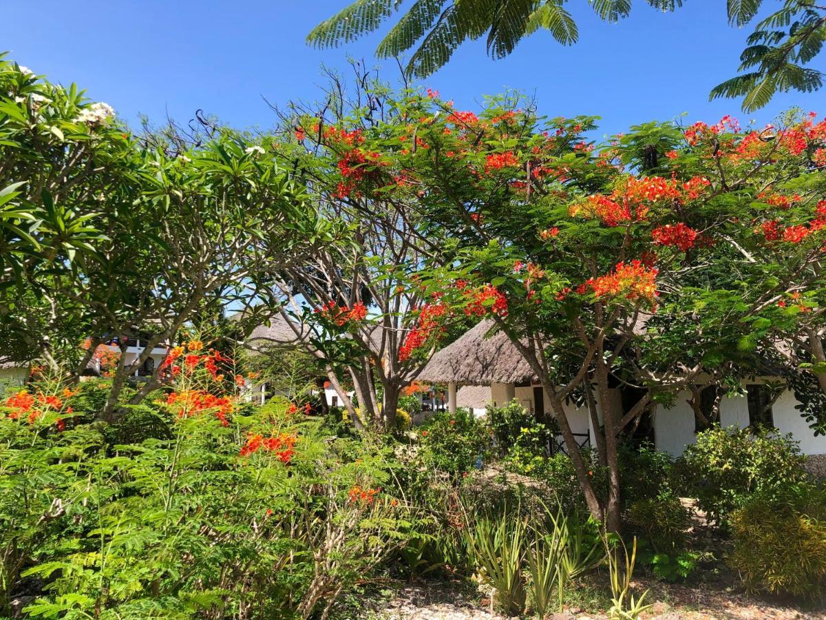 Bluebay Beach Resort & Spa Kiwengwa  Esterno foto