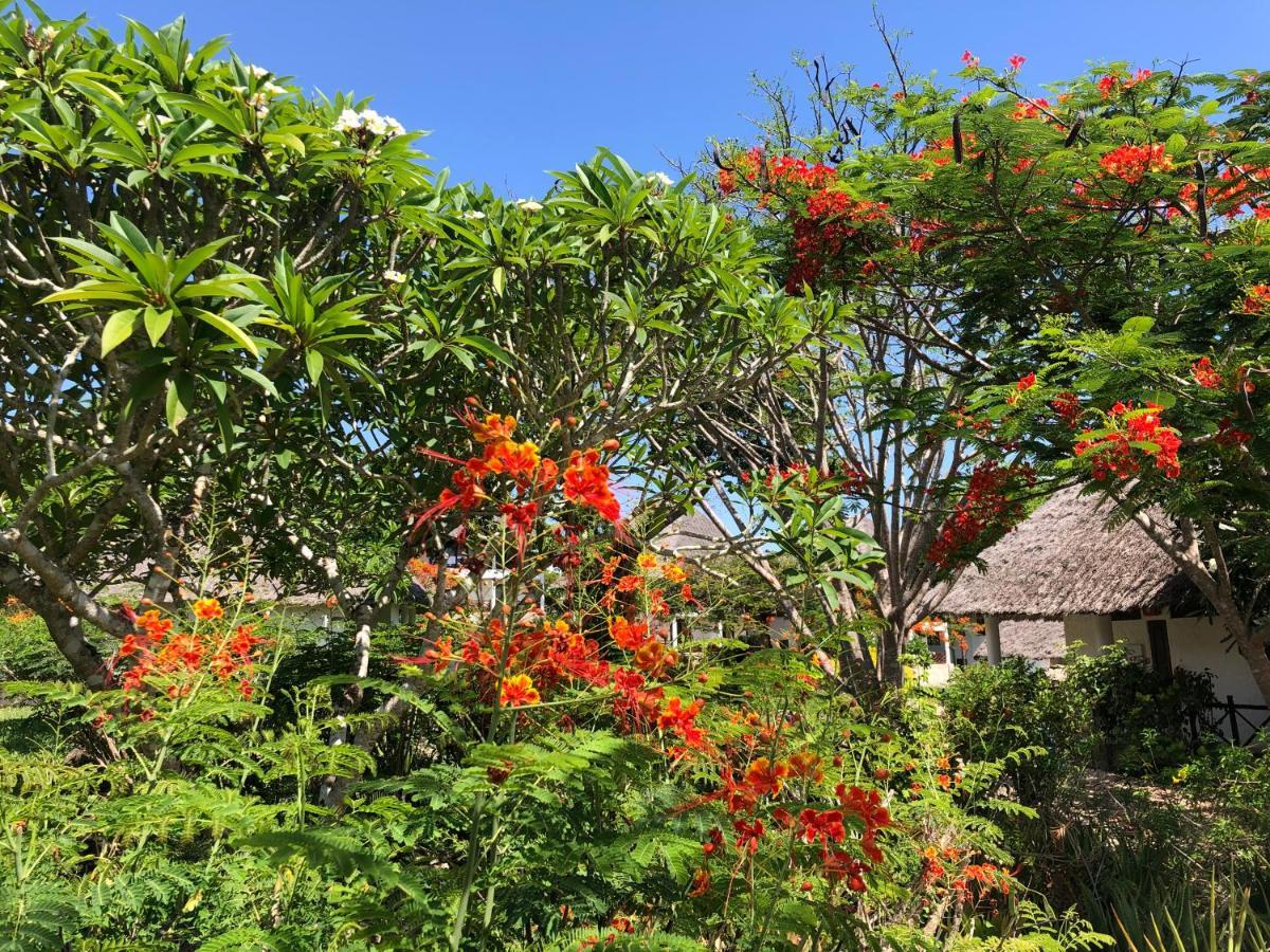 Bluebay Beach Resort & Spa Kiwengwa  Esterno foto