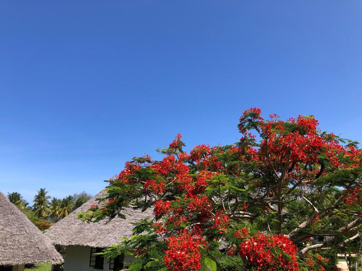 Bluebay Beach Resort & Spa Kiwengwa  Esterno foto